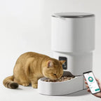 Distributeur Automatique de Nourriture — Programmable Chiens & Chats